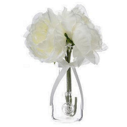 COMPOSITION 3 PIVOINES EN...